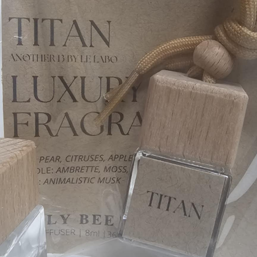 CAR & TRAVEL DIFFUSER